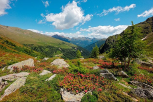 PARCO Nazionale dello STELVIO ( source @parcostelviotrentino)