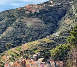 Parco nazionale Cinque Terre ( source @parcocinqueterre)