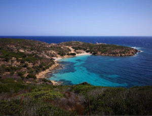 Parco Nazionale dell'ASINARA ( source @parco_asinara)